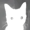 m0_rono