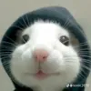 helenaaitanamachado568