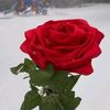 kimberl_57
