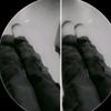 laflacatuya270