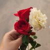 blackroseand3