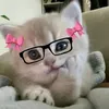 jeannegrace07