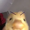 chiiquynn_215