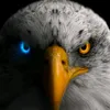 sakr_j7