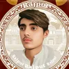 shahzadrajpoot8995