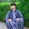 noor.allah8194