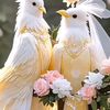aung.zaw.lin842