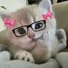 ur_cuti574