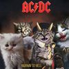 acdc.fun
