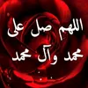 user28169977394378