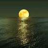 zineddine.mouhame