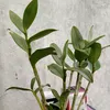 anh_tun79