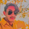 rashid55827