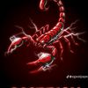 snfora.snfora6