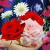 sante.gurung973