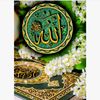 user3093967043439