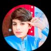 malik.ali.hassan6748