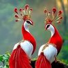 md.shakib.molla287