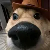 um_aleatorionomundo