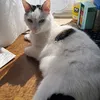 justyna.gradzik0