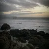 thuhaa_tr