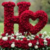 musafer.janan00