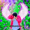 picchi_bbz9