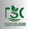 timorseagrow
