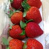 strawberry.samari