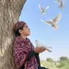 sajidbaloch2266