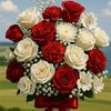 m.ashraf6644