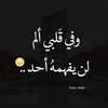 sa_kn86