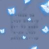 nofer4322