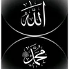hama_uk570