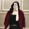 nlinlinli16