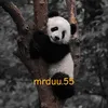 mrduu.55