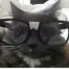 dexter.morgan069