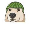 daikauahauday