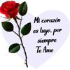 💝💘mi amoor💫💕