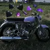 radit.slwly