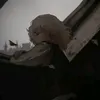 weckideptraivc