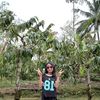 desember_81214