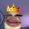 ongvanw_