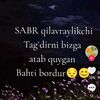 sabr22781