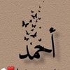 user869834181910