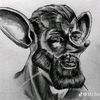 anchoussigma1