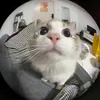 account.number67
