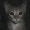 aamuli_