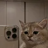 anhthinhdeptrai3