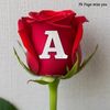 user251908293441